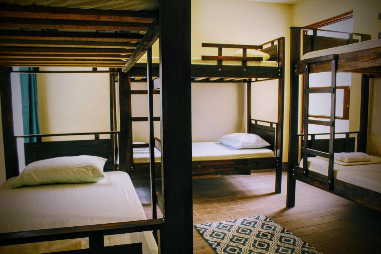 Stray Cat Hostel Сан-Хосе Екстер'єр фото