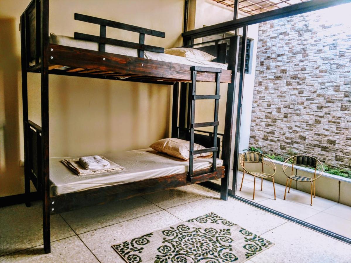 Stray Cat Hostel Сан-Хосе Екстер'єр фото