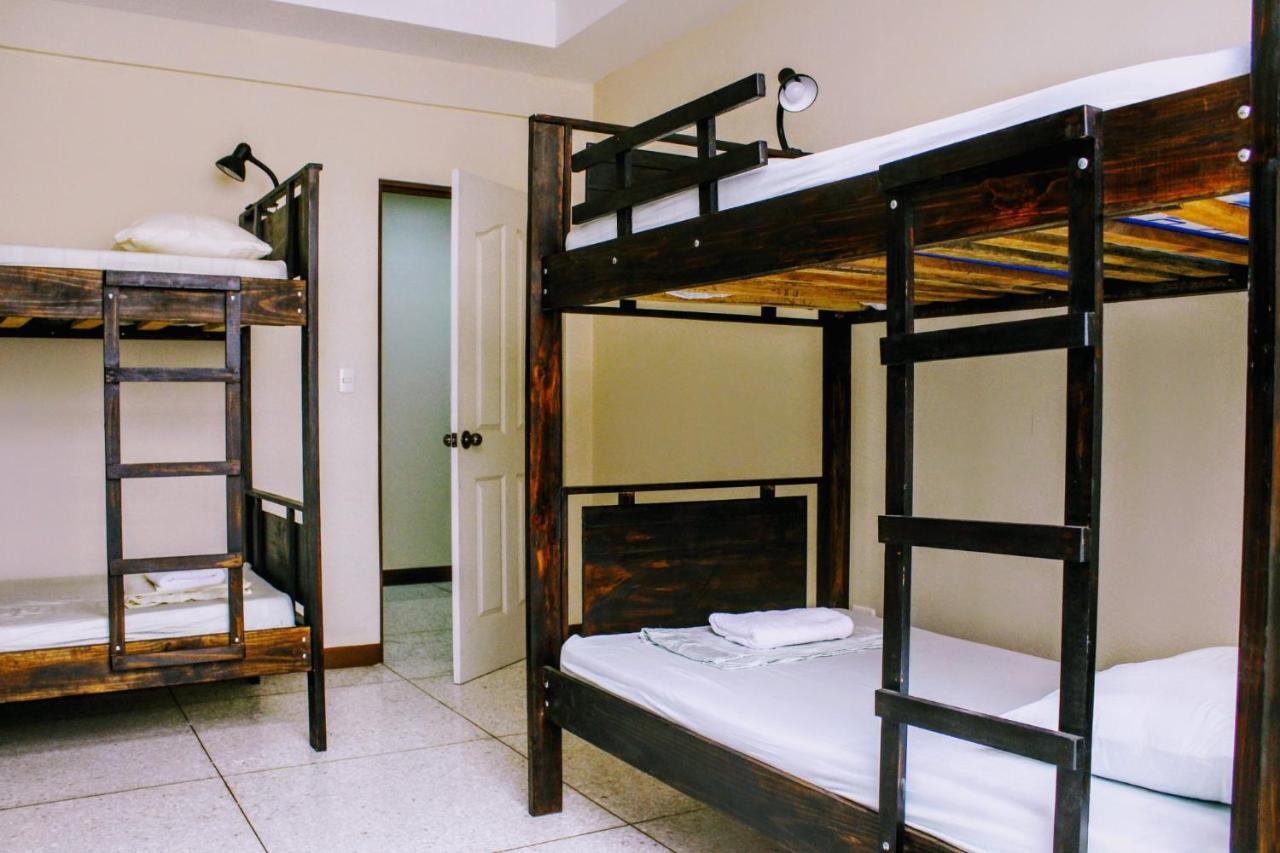 Stray Cat Hostel Сан-Хосе Екстер'єр фото