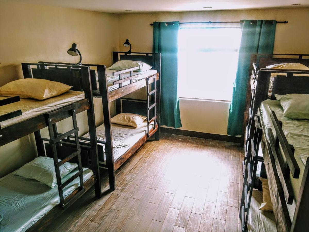 Stray Cat Hostel Сан-Хосе Екстер'єр фото