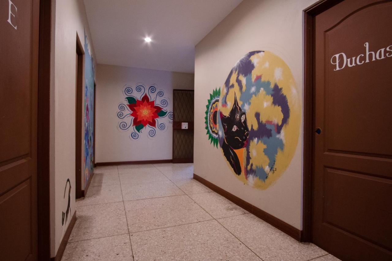 Stray Cat Hostel Сан-Хосе Екстер'єр фото