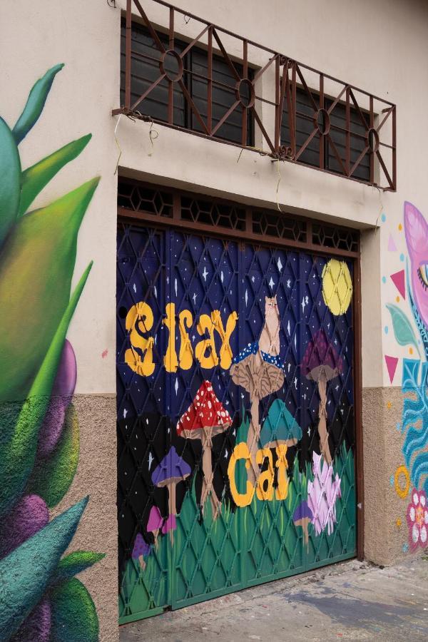 Stray Cat Hostel Сан-Хосе Екстер'єр фото