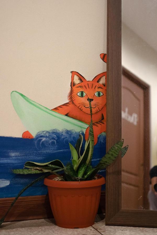 Stray Cat Hostel Сан-Хосе Екстер'єр фото