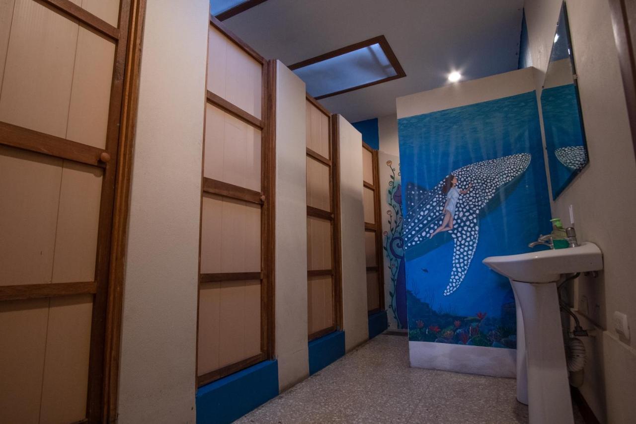 Stray Cat Hostel Сан-Хосе Екстер'єр фото