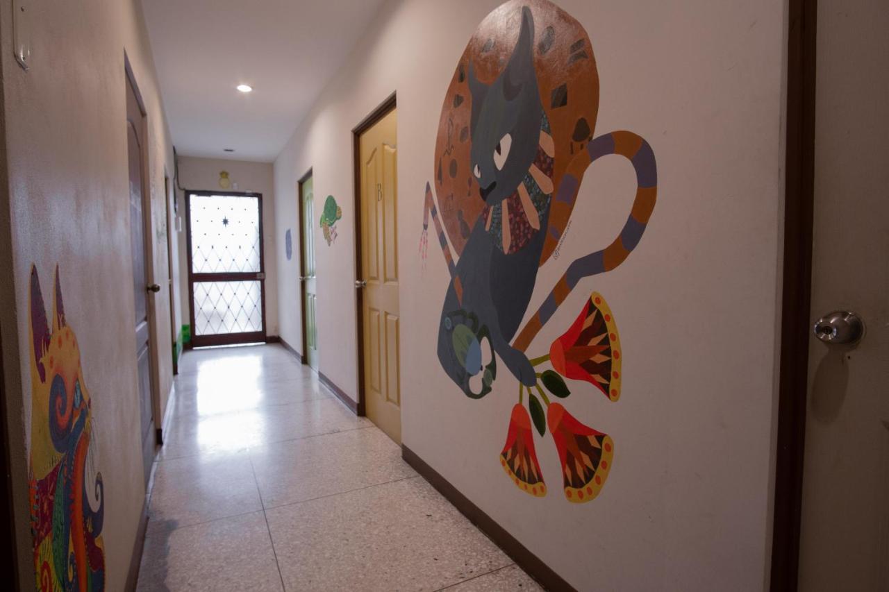 Stray Cat Hostel Сан-Хосе Екстер'єр фото