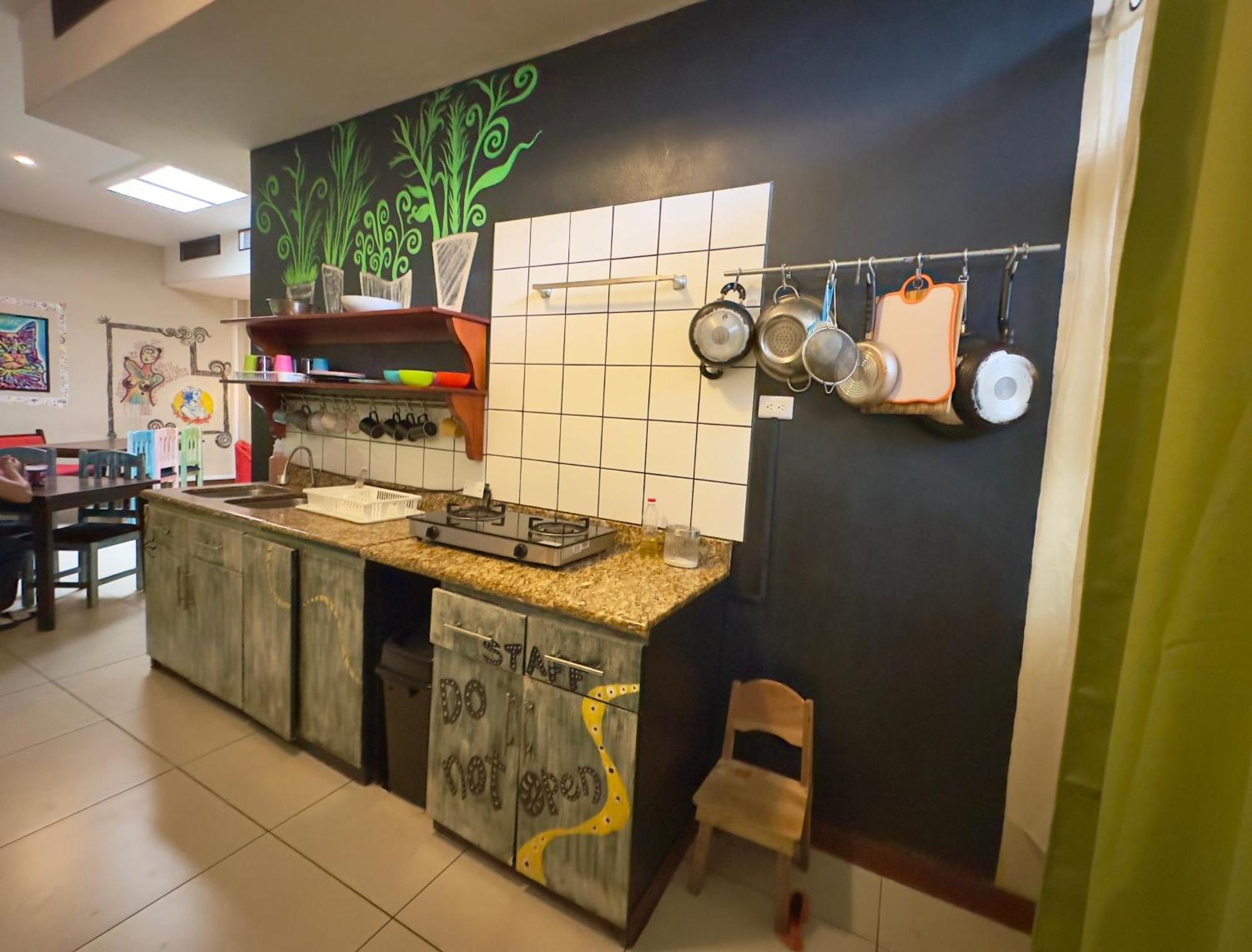 Stray Cat Hostel Сан-Хосе Екстер'єр фото