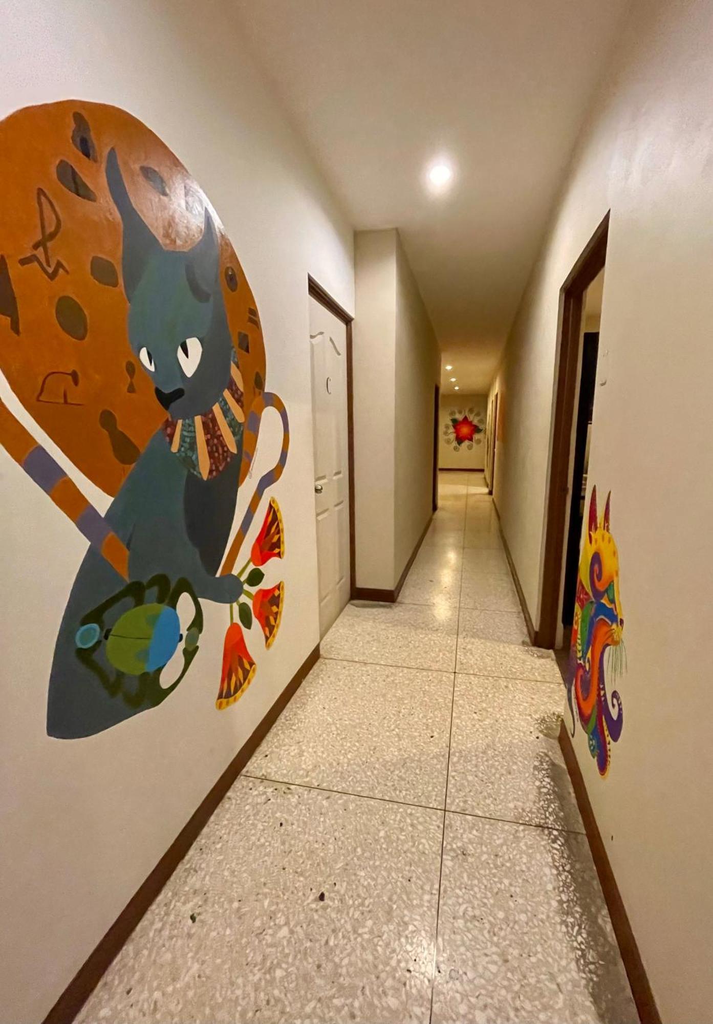 Stray Cat Hostel Сан-Хосе Екстер'єр фото
